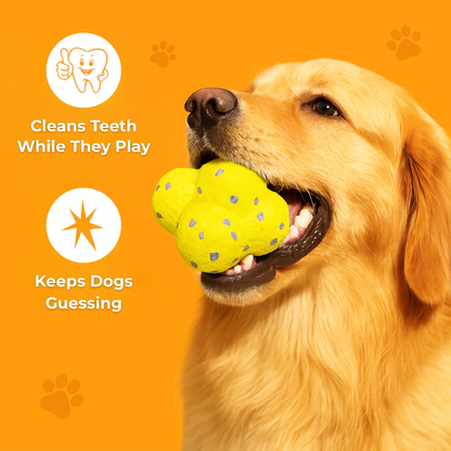 ChewMagic™ Ball