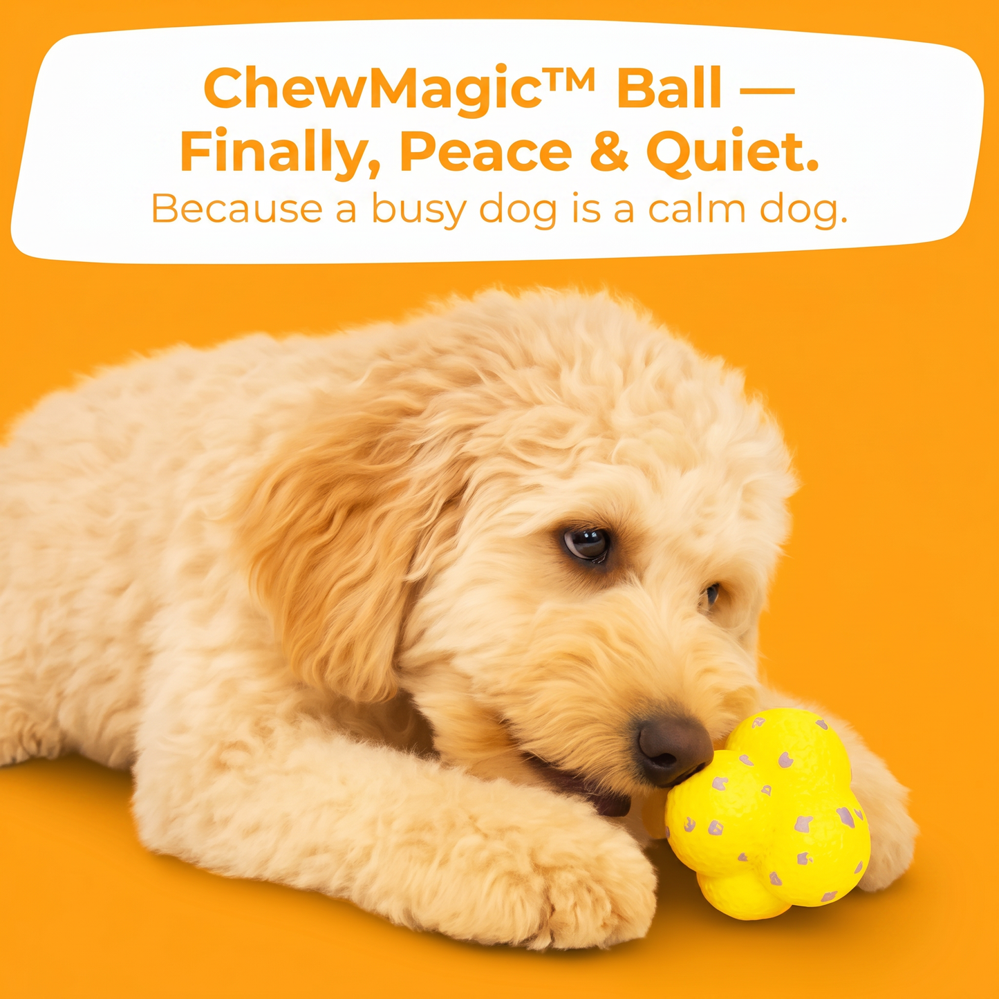 ChewMagic™ Ball