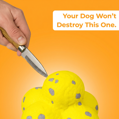ChewMagic™ Ball