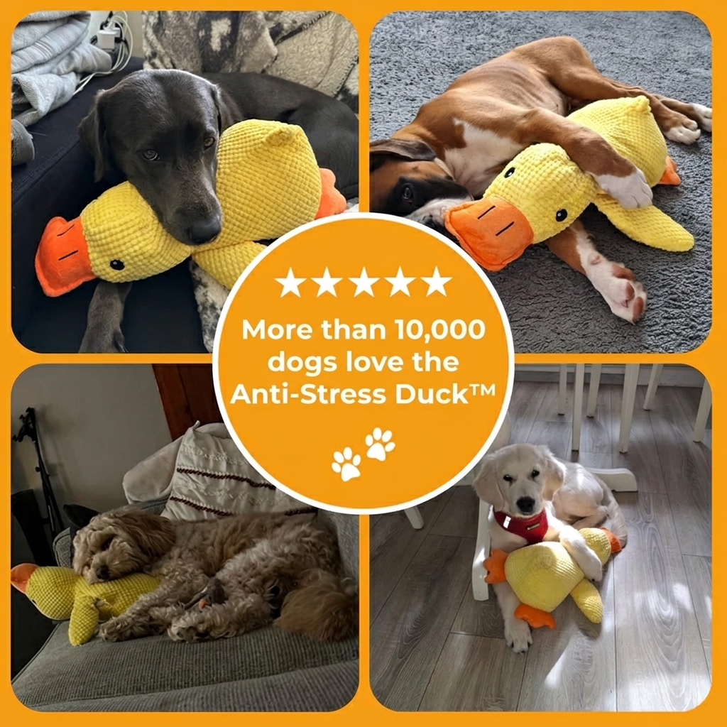 Anti-Stress Duck™