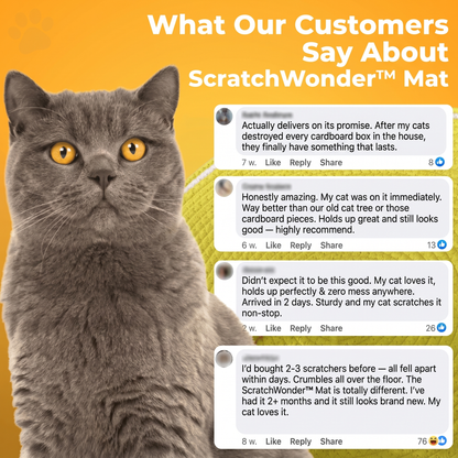 ScratchWonder™ Mat