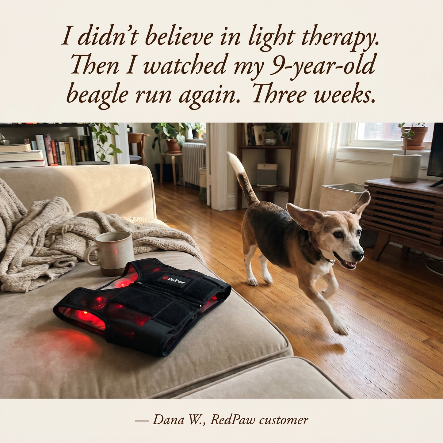 RedPaw Therapy